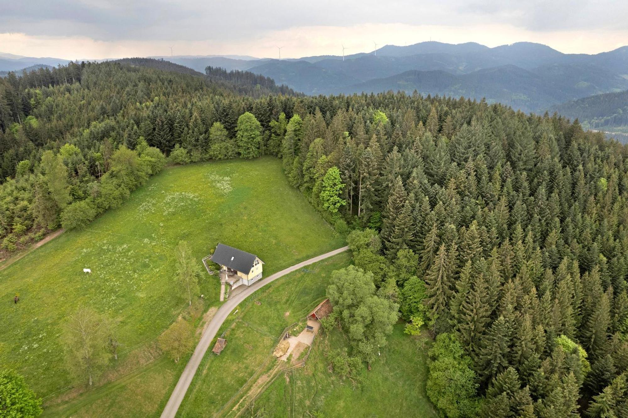 Villa Landeckhof Oberwolfach Exterior foto